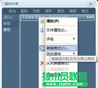 转换格式