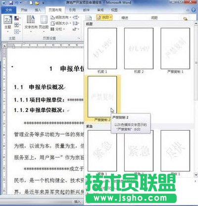 选择要插入的水印