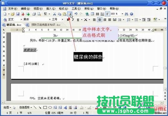 如何用WPS进行跨文档应用格式刷 三联