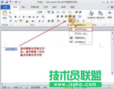 合并字符选项