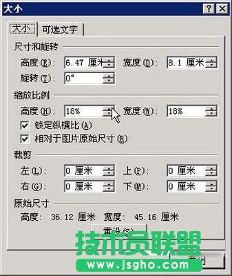 选择Word 2007“大小”命令