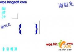 wps中这种不同颜色的分子分母