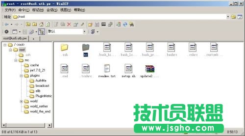 在LinuxVPS下架设Minecraft服务器