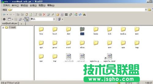 在LinuxVPS下架设Minecraft服务器