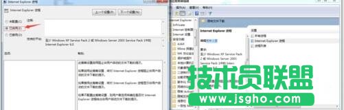 找到“Internet Explorer进程”
