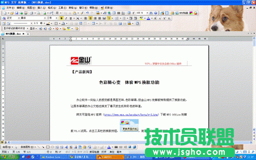 色彩随心变 快乐体验WPS换肤功能