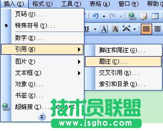 插入题注