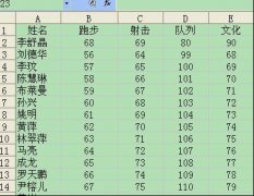 金山WPS巧用条件格式查找重复数据