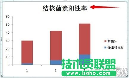Excel 2007的分段条图如何绘制?