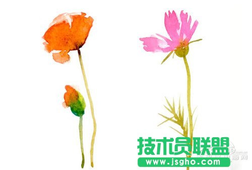 好照片教你打造清新花卉摄影作品 三联教程