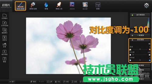 好照片教你如何打造清新花卉摄影作品