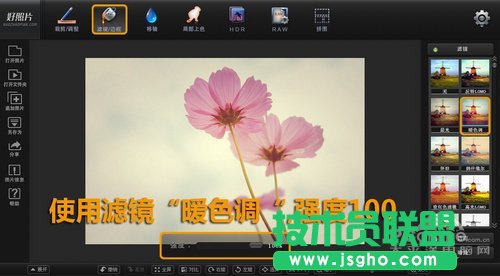 好照片教你如何打造清新花卉摄影作品