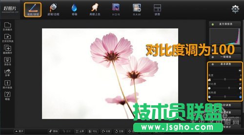 好照片教你如何打造清新花卉摄影作品