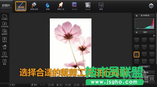 好照片教你如何打造清新花卉摄影作品