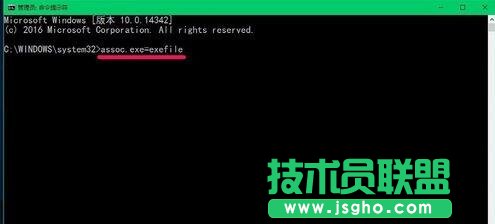 使用assoc.exe=exefile命令恢复exe文件关联的步骤2