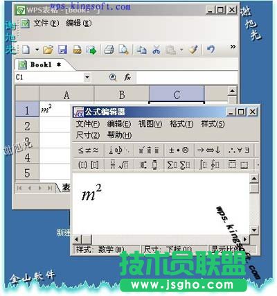 如何在WPS表格中输入平方和立方符号 三联教程