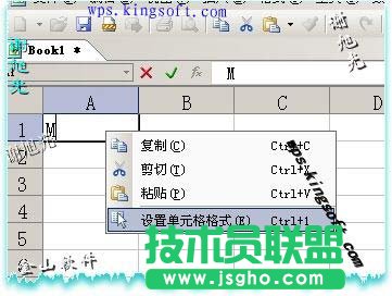 如何在WPS表格中输入平方和立方符号
