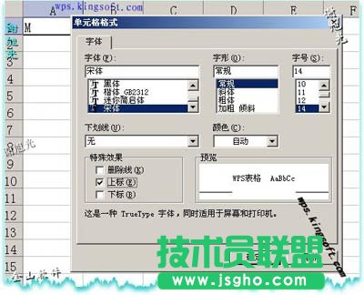 如何在WPS表格中输入平方和立方符号