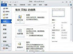 Word2010中复制、剪切和粘贴技巧