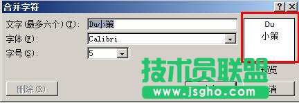 预览