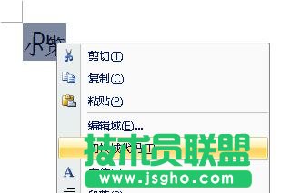 切换域代码