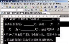 解决WPS 2007中文字换行的怪问题
