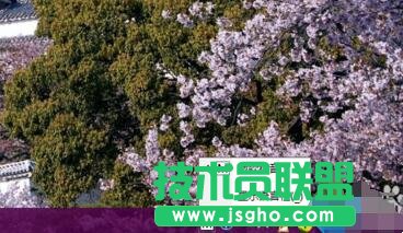 win10,输入法,语言栏添加输入法,语言栏怎么添加输入法