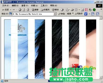 FrontPage基础教程特效按钮的制作(2)