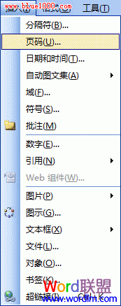 Word2003文档如何添加页码 三联