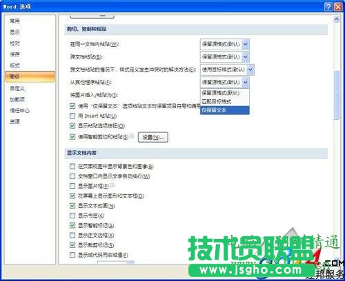 Word2010过滤网页上的超链接和图片方法