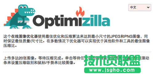 在线图像压缩