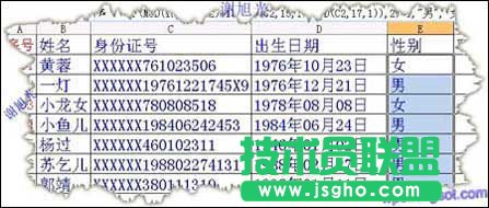 用WPS表格提取性别信息