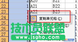 Excel自动分页小计怎么用？