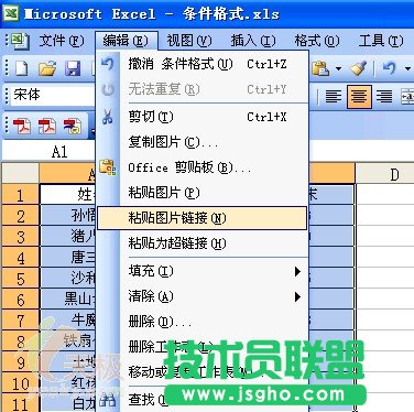Excel技巧:为数据区域创建动态快照