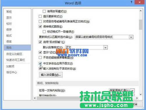 如何巧用word2013将中文字应用西文