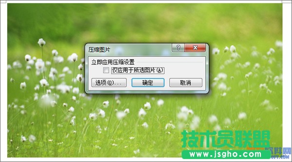 Word如何对文档中图片进行压缩处理