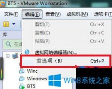 Win7系统中虚拟机安装vmtools后鼠标漂移如何解决？